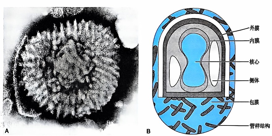 638681326554148531507.jpg 638681326554148531507.jpg