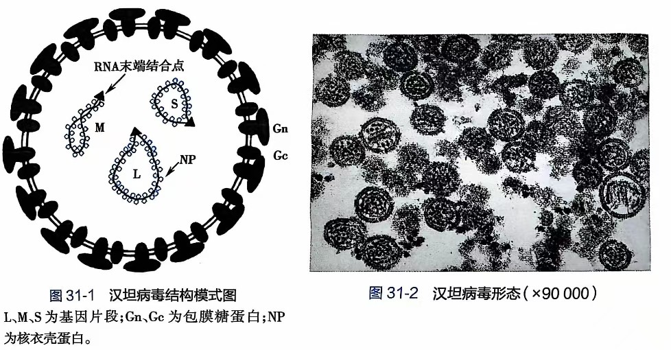 微信图片_20241210100611.jpg 微信图片_20241210100611.jpg