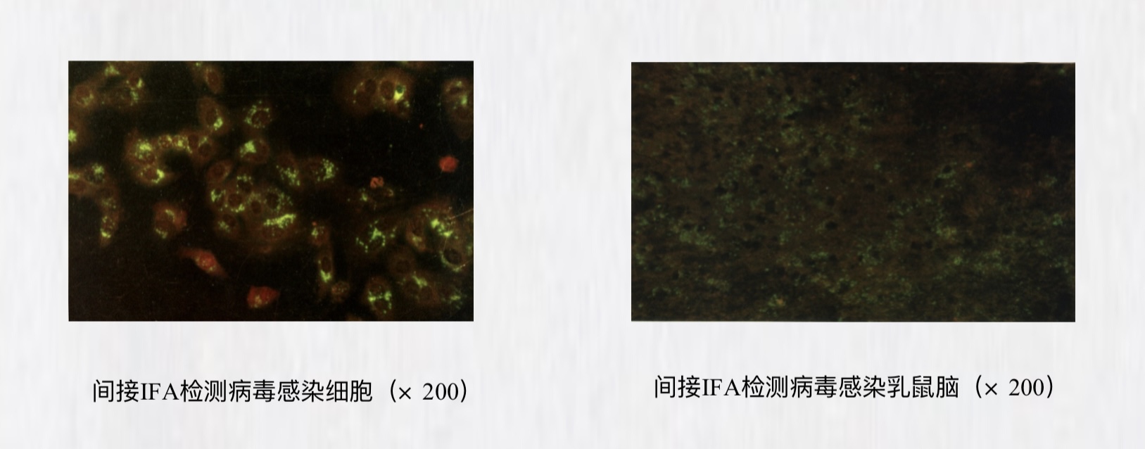 微信图片_20241210101959.jpg 微信图片_20241210101959.jpg